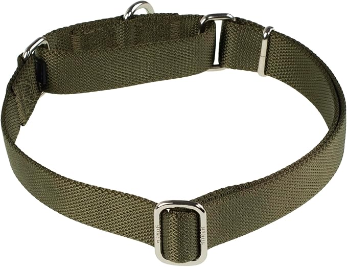 Hyhug Pets Premium Upgraded Heavy Duty Nylon Anti-Escape Martingale Collar for Boy and Girl Dogs Comfy and Safe - Professional Training, Daily Use Walking. (Army Green, Medium)