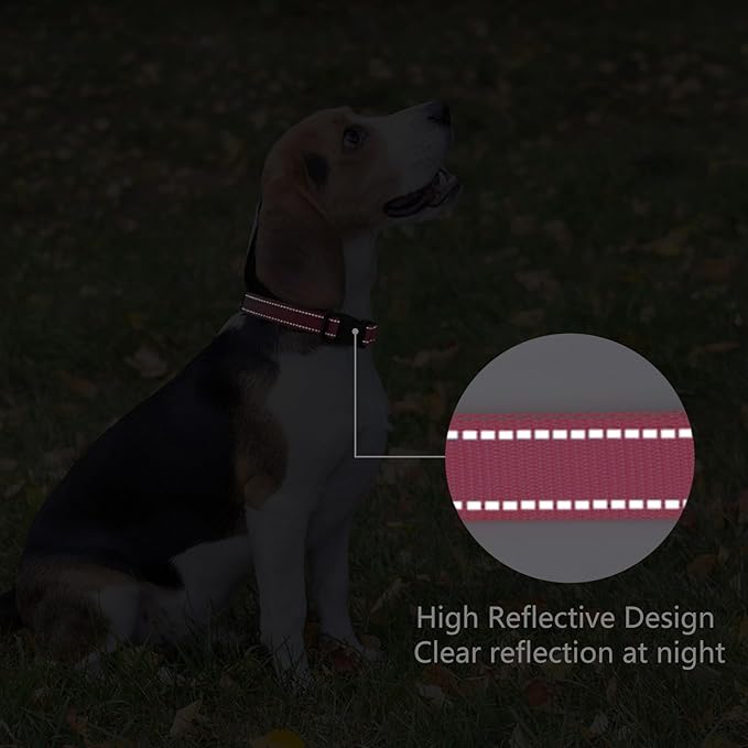 Reflective Dog Collar Padded with Soft Neoprene Breathable Quick Release Basic Dog Collars for Medium Dogs Hot Pink Girl