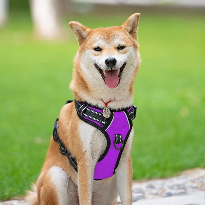 PoyPet No Pull Dog Harness, Reflective Comfortable Vest Harness with Front & Back 2 Leash Attachments and Easy Control Handle Adjustable Soft Padded Pet Vest for Small to Large Dogs (Purple,XL)
