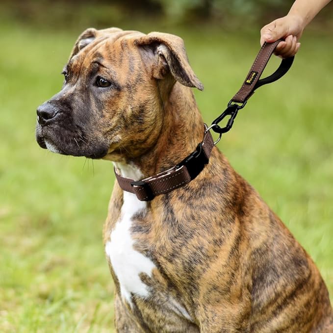 PLUTUS PET Short Dog Leash, Reflective Nylon Padded Handle, Strong Traffic Leash with Carabiner Clip, Perfect for Large or Medium Dogs (10”，Chocolate)