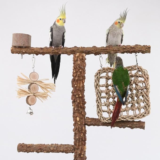 Natural Wood Parrot Stand - Ideal Toy & Accessory for Parakeets, Canaries, Cockatiels, Conure, Lovebirds - Bird Perch Stand with Removable Tray Climbing Net Chewing Toys- Perfect Pet Birds Playstand