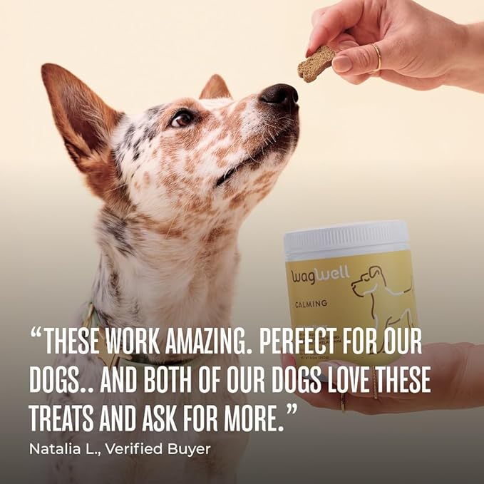 WagWell Calming Chews for Dogs – Vet-formulated Anxiety Relief for Dogs to Reduce Stressful Situations Like Travel or Fireworks – Separation Anxiety Relief for Dogs to Ease Stress & Promote Relaxation