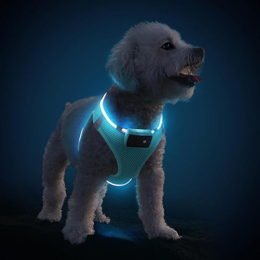 PceoTllar Light Up Dog Harness, LED No Pull Reflective Dog Harness, Flashing Lighted for Night Walking - Small/Medium, (Blue XS)