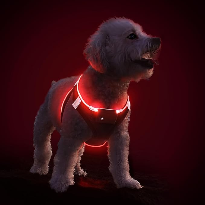PceoTllar Light Up Dog Harness, LED No Pull Reflective Dog Harness, Flashing Lighted for Night Walking - Small/Medium, (Black Red,m)
