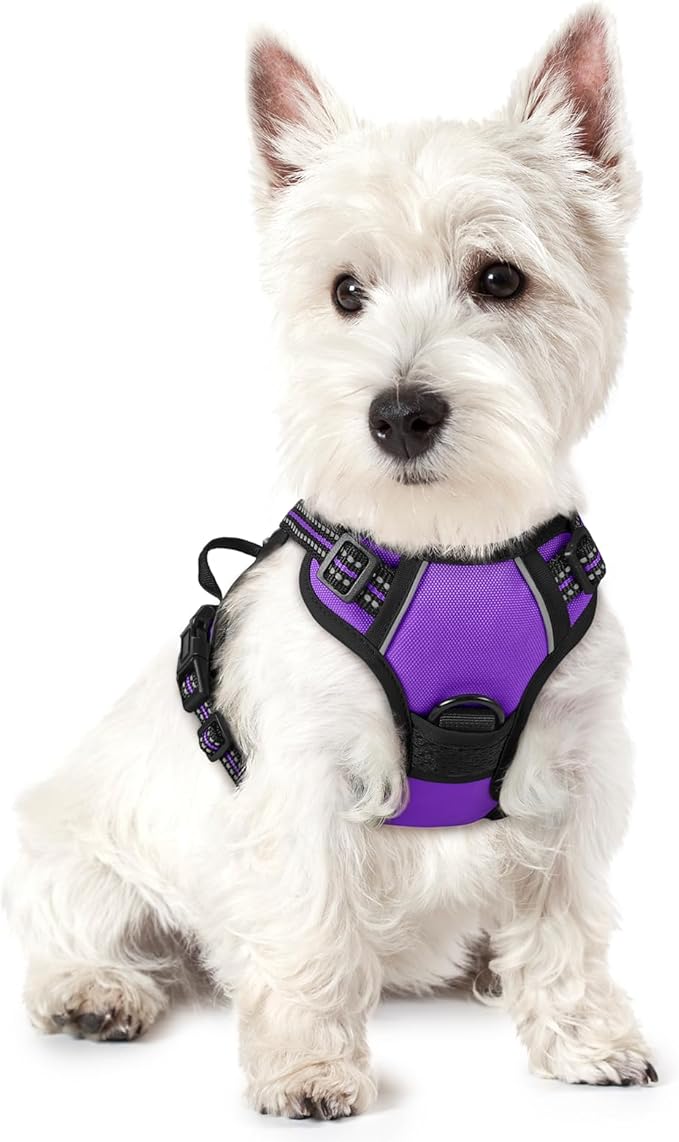 rabbitgoo Dog Harness No Pull with 2 Leash Clips, Adjustable Soft Padded, Reflective Oxford No Choke Pet Vest with Easy Control Handle for Puppy, Purple,XS
