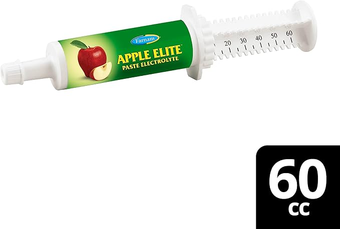 Farnam Apple Elite Electrolyte Paste Supplement for Horses, Replaces Vital Minerals, Encourages Hydration, No Added Sugar, 60 cc syringe