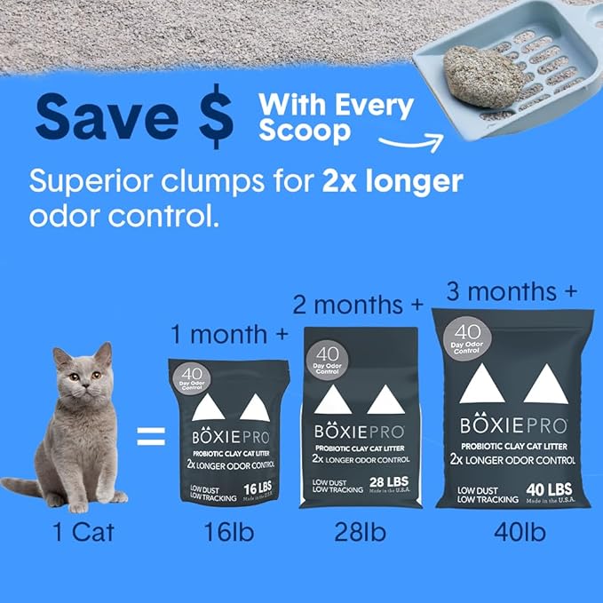 Boxie® Probiotic 40 Day Natural Odor Control Cat Litter, 16lb Clumping Clay Kitty Litter (Pack of 2)