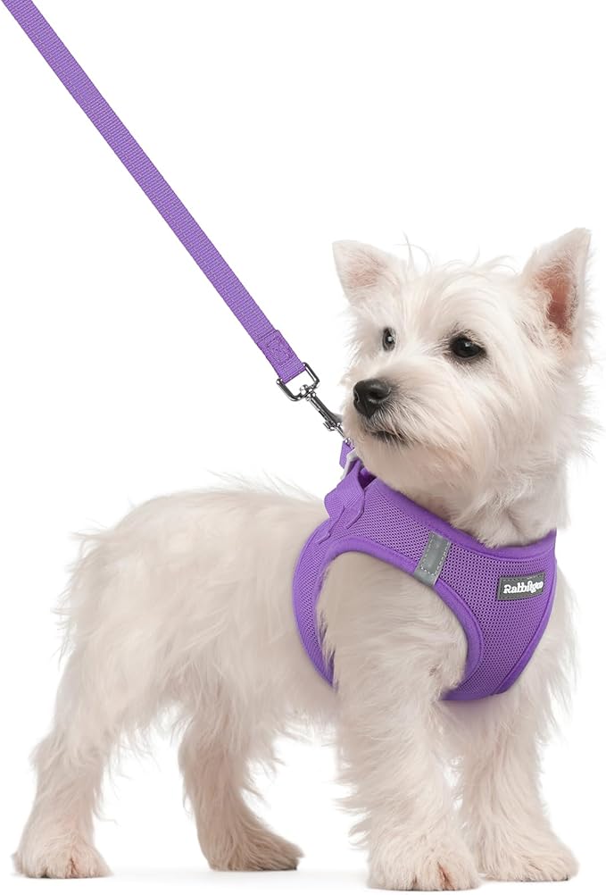 rabbitgoo Dog Harness Small Sized and Leash Set, Step in Soft Light Puppy Vest, Breathable Mesh Pet Harness, Reflective for Safe Outdoor Walking, Purple S