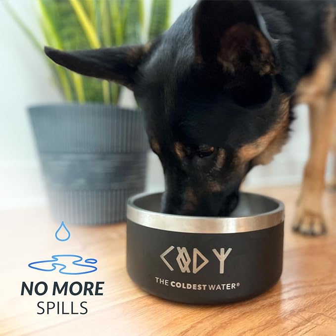 Coldest Dog Bowl - Anti Rust Metal, Non Slip, 3 Layers Insulated Stainless Steel Dog Bowls - Spill Proof & Heavy Duty - Water Bowl for Dogs, Cats & Pets, Dish Washer Safe (21 oz, Solar Yellow)