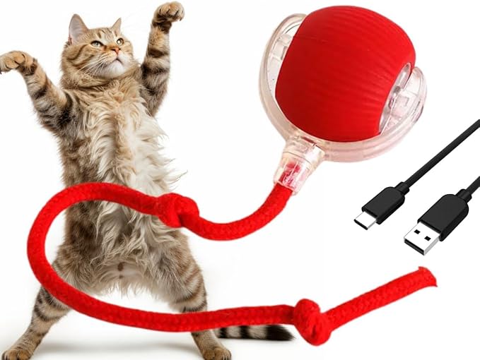 Interactive Pet Chase Toy - Rechargeable, Motion Ball, Self-Moving Kitten Toy for Indoor Interactive Playing, Smart Cat Rolling Ball