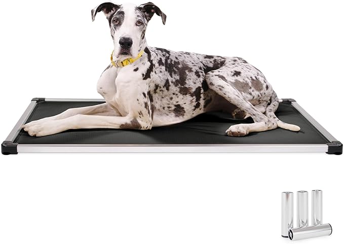 K9 Ballistics Chew Proof Armored Padded Dog Crate Bed, Virtually Indestructible, Legs Included (Obsidian Black, Medium (35" L x 22" W x 4.5" H))