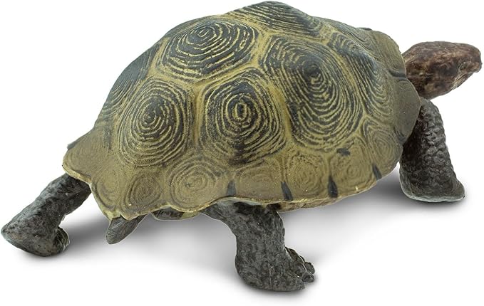 Safari Ltd. Desert Tortoise Figurine - Lifelike 3.25" Wildlife Figure - Educational Toy for Boys, Girls, and Kids Ages 3+