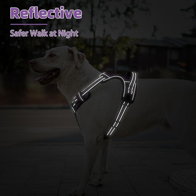 PUPTECK No Pull Dog Harness Medium Sized, Adjustable Reflective Dog Harness with Handle Easy Control, Comfortable Soft Padded Pet Vest Harness for Medium Dogs, Solid Purple M