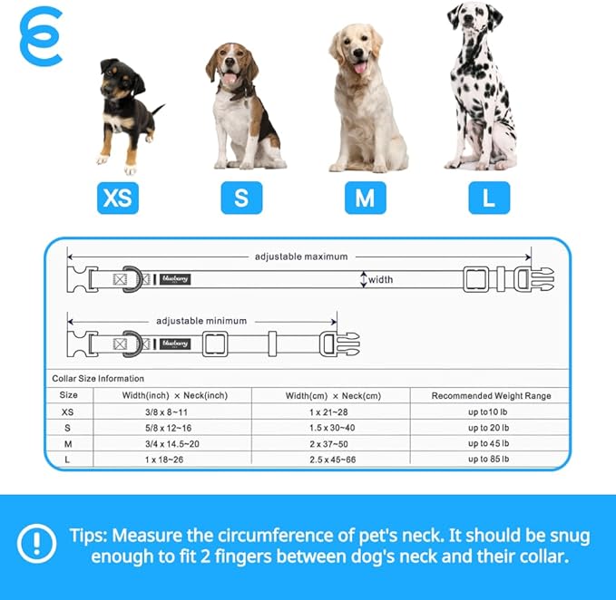 Blueberry Pet Essentials Matching Medium Adjustable & Durable Classic Solid Color Nylon Dog Collars for Medium Dogs | Mint Blue Collar for Girl & Boy Dogs