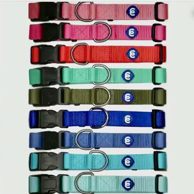 Blueberry Pet Essentials Small Dog Collar in Neon Green | Adjustable & Eco-Friendly Durable Nylon Strap | Classic Collar for Small Dogs, Boy & Girl Pets