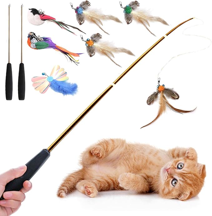 Interactive Cat Wand Toys Set, 2PCS Cat Teaser with 6 Replacement Birds, Feathers & Bells for Indoor Play