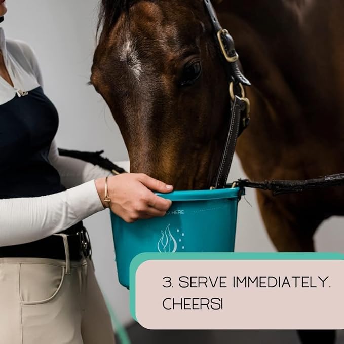 Gallagher's Water 12 Pack All-Natural Equine Hydration Treat - Enhancement Powder Mix Horse Drink Treat to Help Encourage to Drink Water - Made with All Natural Ingredients, FEI Compliant