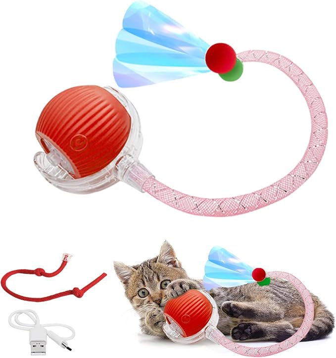 Cat Toy, Interactive Cat Toy, Cat Toys for Indoor Cats with 2 Tails, 3 Modes Rechargeable Cat Enrichment Toys for Small/Medium/Large Cats to Keep Them Busy