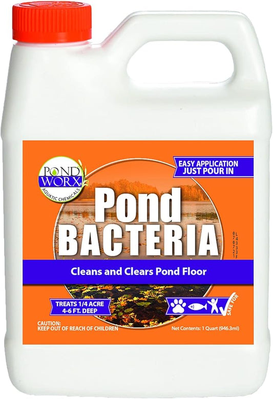 Pondworx Pond Bacteria - Concentrated & Formulated for Large Ponds, Water Features - Safe for Koi - 32ounes & Treats up to a Quarter Acre Pond