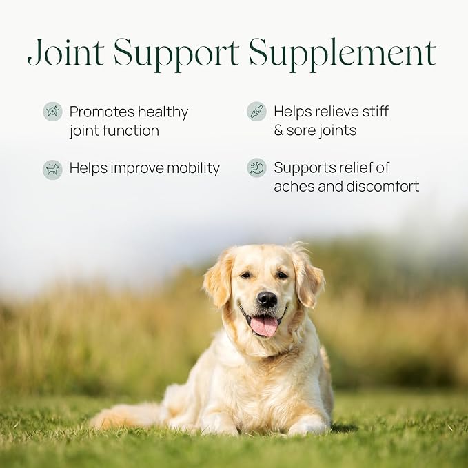 pawTree Joint & Hip Support Supplement for Dogs & Cats with Glucosamine, Chondroitin, MSM, Tumeric & Green Lipped Mussels - Vitamins & Health Essentials - All-Natural Mobility Soft Chews