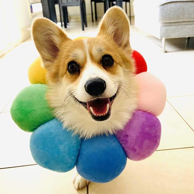 KUDES Cat Small Dog Recovery Collar, Cute Neck Cone After Surgery, Adjustable Pet E Collar, Wound Healing Protective Cone Surgery Recovery Elizabethan Collars for Small Pet (L(Within 14lb), Colorful)