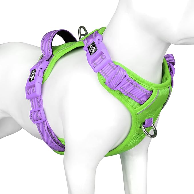PHOEPET No Pull Dog Harness, Unique Colors Reflective Adjustable Dog Vest, with Soft Training Handle Metal Clips for Small Medium Large Dogs (Green Base & Purple Straps,L)