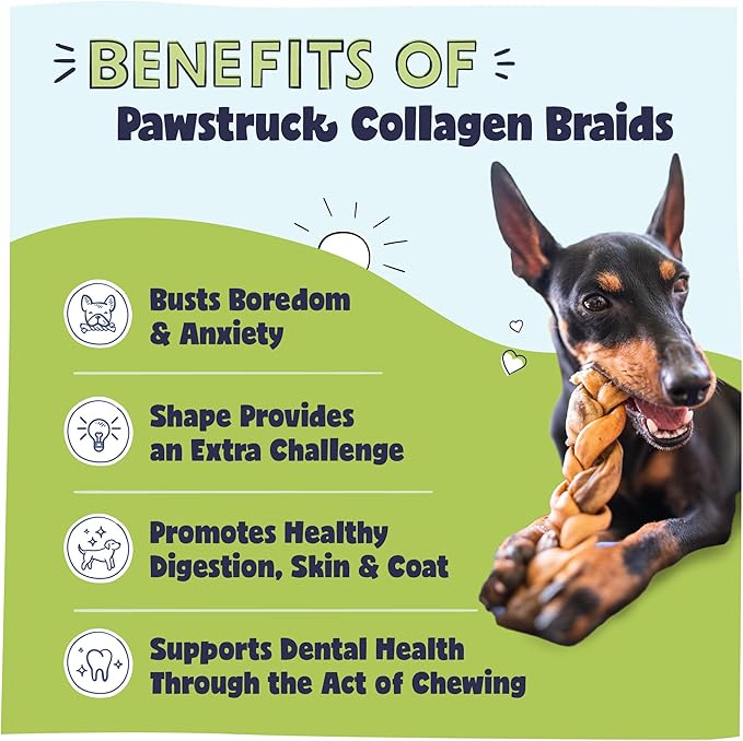 Pawstruck Natural 5-7” Beef Collagen Braids for Dogs – Long-Lasting Rawhide & Bully Stick Alternative, with Chondroitin & Glucosamine – 5 Pack
