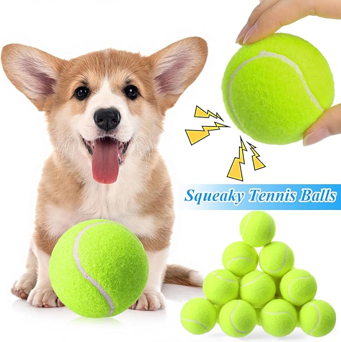 Skylety 100 Pcs 2.5 inch Squeaky Tennis Balls Bulk for Dogs Bouncy Floatable Tennis Balls Dog Playing Supplies Training Interactive Fetch Toys for Small Medium Puppy Exercise and Practice (Green)
