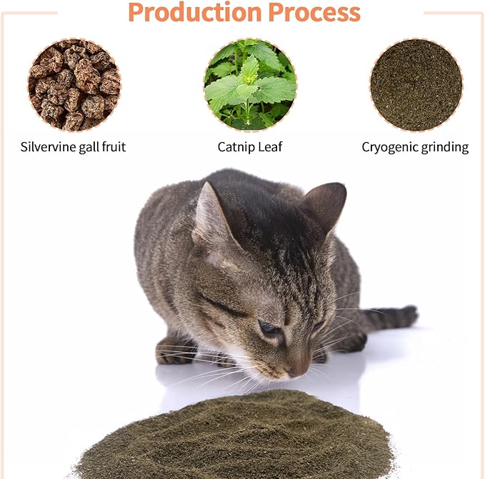Catnip & Silvervine Powder – 50g Blend of Silvervine Gall Fruit & Catnip, Non-Addictive, for All Cat Ages, Multi-Use with Toys, Scratchers & Protecting Furniture, with 5 Little Pouches