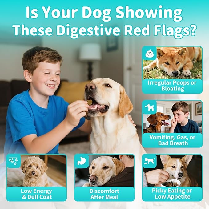 Probiotics for Dogs, Digestive Enzymes for Gut Health Support, Dog Fiber Supplement with Pumpkin for Diarrhea & Bowel Support, Upset Stomach & Gas Relief, Constipation - 90 Count Beef Flavor