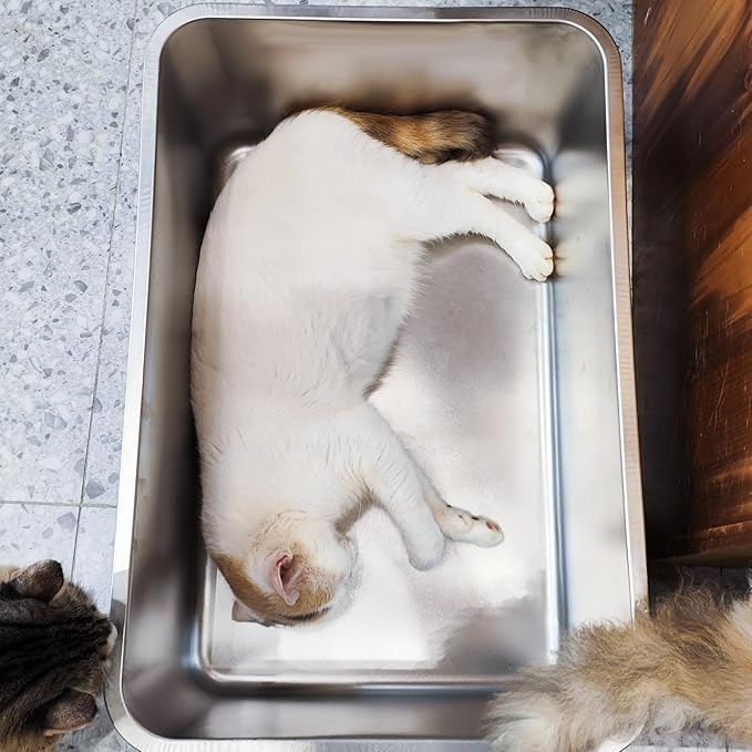 LIHONG Stainless Steel Cat Litter Box,Extra Large Metal Litter Box for Big Cats Kitty Rabbits,No Smell,Non Stick,Easy to Clean(24" Lx16 Wx8 H,XL)