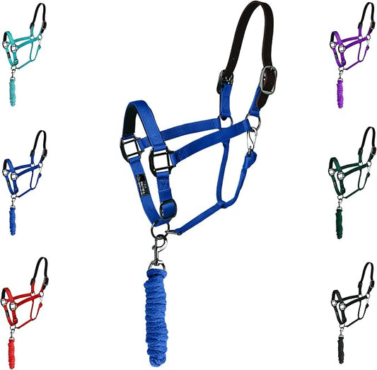 Majestic Ally Leather Halter with Matching Lead Rope for Horses – Leather Breakaway Crown - Adjustable Chin Strap – Rolled Throat Latch – Padded Noseband – Full (Royal Blue, Full)