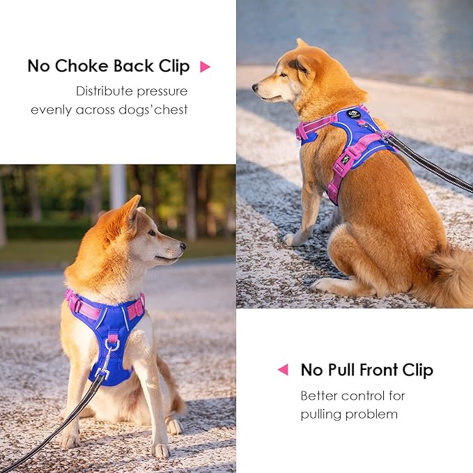 PHOEPET No Pull Dog Harness, Unique Colors Reflective Adjustable Dog Vest, with Soft Training Handle Metal Clips for Small Medium Large Dogs (Royal Blue Base & Pink Straps,L)