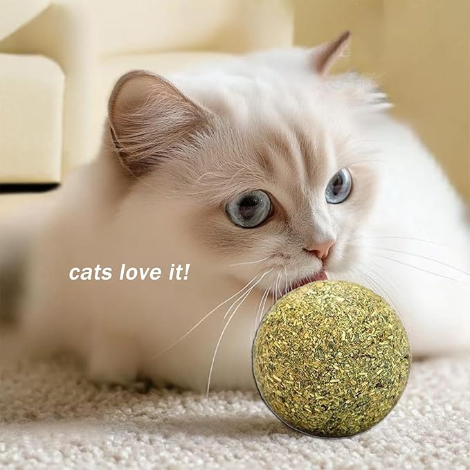 happylain 2 inches Diameter Catnip Ball - Catnip Balls for Cats, Interactive Cat Toy for Indoor Cats, Cat Nip Licking Balls