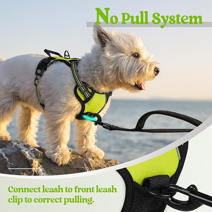 rabbitgoo Dog Harness No Pull with 2 Leash Clips, Adjustable Soft Padded, Reflective Oxford No Choke Pet Vest with Easy Control Handle for Puppy, Green, XS