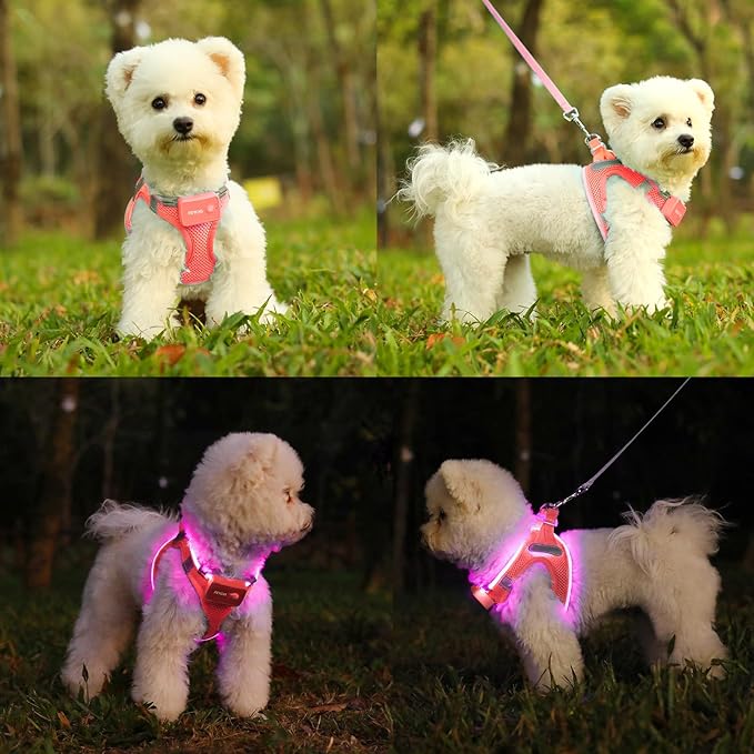 Light Up Dog Harness,Rechargeable LED Dog Harness for Small Medium Large Dogs,Reflective Lighted Safety Vest for Night Walking & Camping,Lightweight & Adjustable,Fluorescent Pink,M