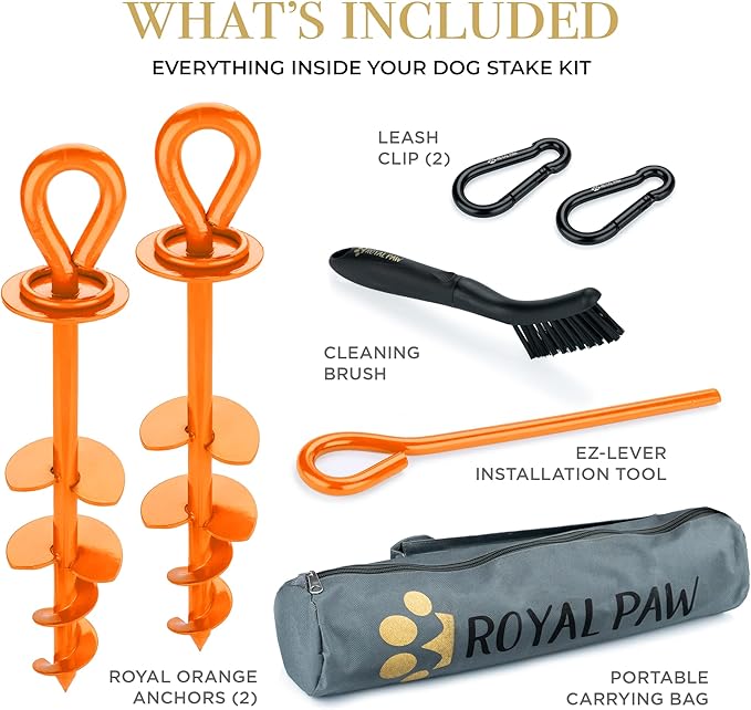 ROYAL-PAW Dog Tie Out Stake - for Large Dogs up to 210 lbs - Heavy Duty Dog Stake for Yard, Beach & Camping Outside - Best in Ground Anchor for a Dog Cable, Leash, Lead Tether (1, Orange)