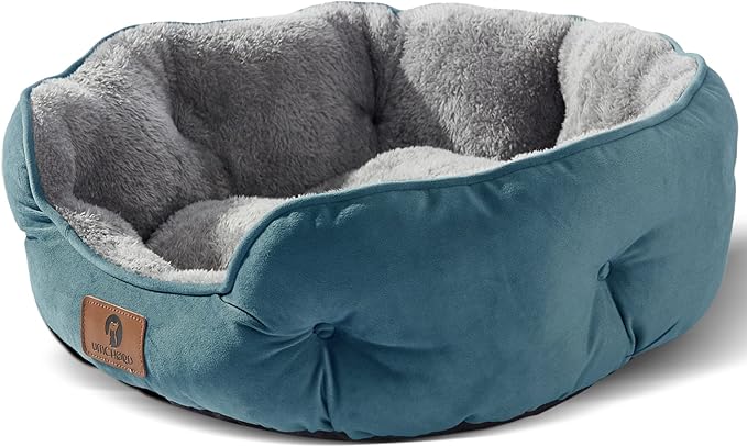 Asvin Small Dog Bed for Small Dogs, Cat Beds for Indoor Cats, Pet Bed for Puppy and Kitty, Extra Soft & Machine Washable with Anti-Slip & Water-Resistant Oxford Bottom, Teal, 20 inches
