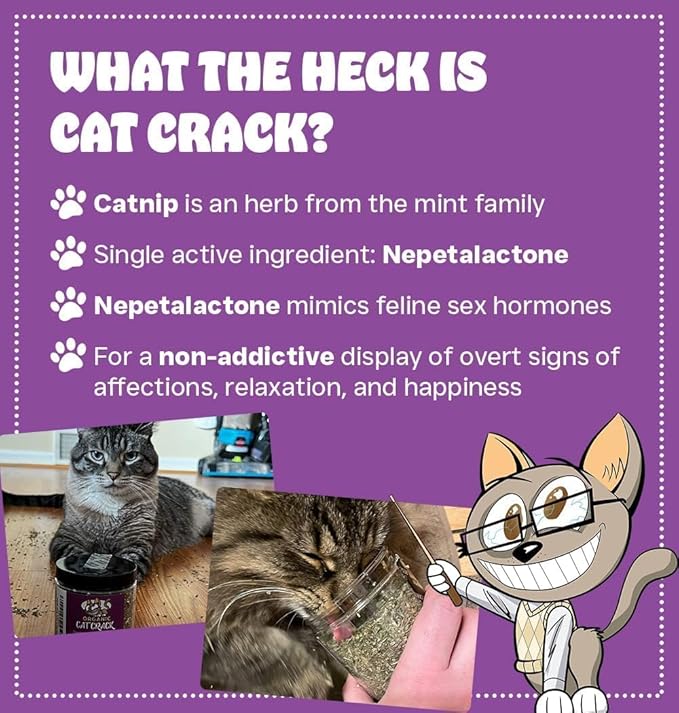 Cat Crack Catnip, Zoomie-Inducing Cat Nip Blend, North American Made & 100% Natural, Safe & Non-Addictive Catnip Treats Used to Supplement Cat Nip Toys, Spray, & Accessories (4 Cups)