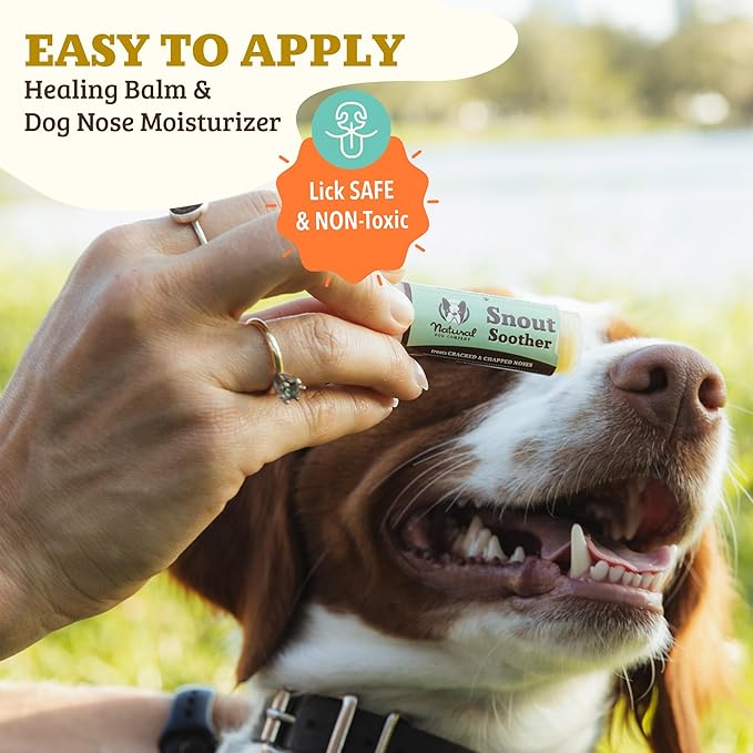 Natural Dog Company Snout Soother Bundle, Includes 2oz Tin + 0.15oz Stick, Dog Nose Balm for Chapped, Crusty and Dry Dog Noses, Organic, All Natural Ingredients, Packaging May Vary