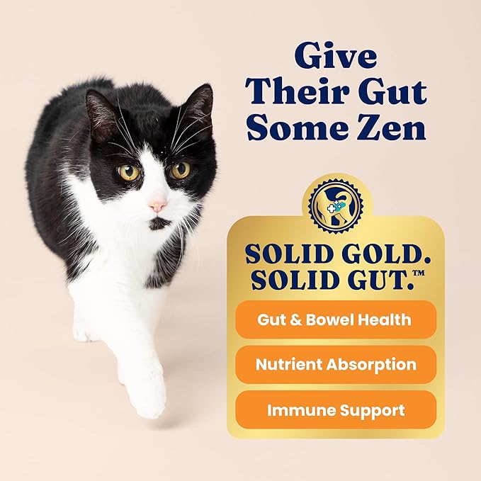 Solid Gold High Protein Dry Cat Food - Grain Free & Gluten Free Chicken Cat Dry Food w/Probiotics for Gut Health & Digestion - High Fiber & Omega 3 - Low Carb Superfood Kibble for Cats All Ages - 3LB