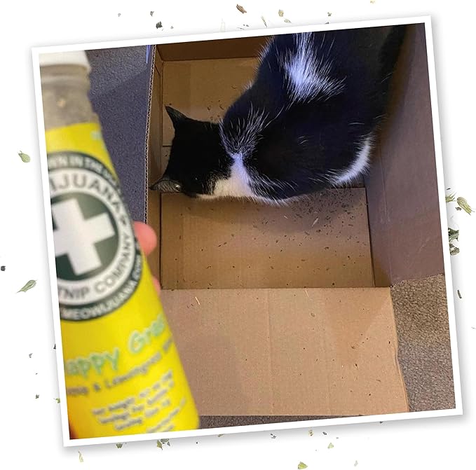 Meowijuana Jump 'n' Jamb Door Hanging Cat Toy Bundle | Funky Monkey + Happy Grass Blend | Refillable Interactive Catnip Toy | Promotes Play and Cat Health | Potent Catnip Grown in North America