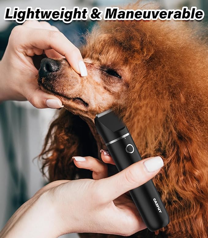 Casfuy Cordless Dog Paw Trimmer - Low Noise Small Dog Clippers with Double Blades USB Rechargeable Grooming Clipper for Dogs Cats and Small Pets for Trimming Hair Around Paws, Eyes, Ears, Face, Rump