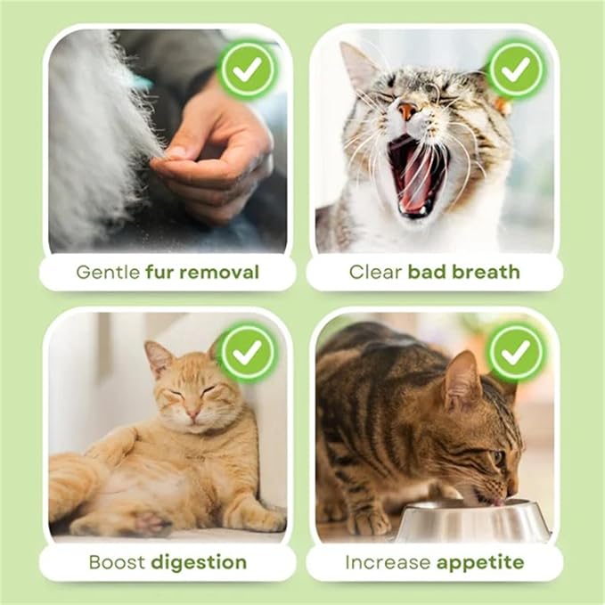 Primeco Cat Grass Teething Stick, Natural Grass Molar Rod Made of Chicken & Cat Grass, 6 PCS Per Bag for Cat Indoor Teeth Cleaning, Hairball Removal, Dental Care, Increase Appetite (6 pcs)