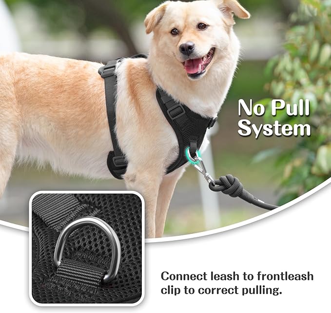 No Pull Dog Harness for Small Medium Large Dogs - Adjustable Two-Layer Mesh Dog Vest with Dual Clip, Escape Proof, Quick Release, Lightweight Breathable Mesh for Walking Hiking (Black,XL)