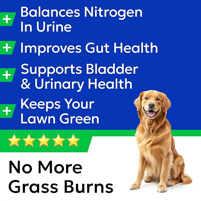 BARK&SPARK Green Grass Chews - Pee Grass Spot Saver Caused by Dog Urine - Urine Neutralizer for Lawn, Gut Health Probiotics & Digestive Enzymes,Lawn Burn from Dog Urine, Grass Burn Spot Chews, Rocks