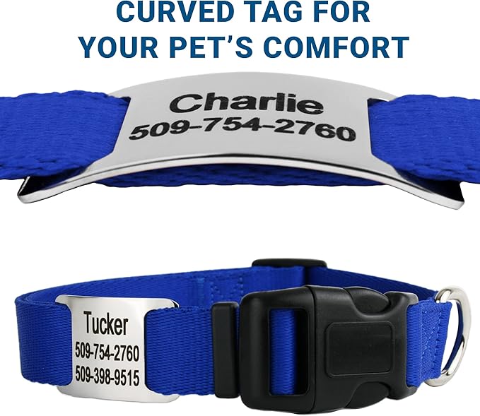 GoTags Personalized Dog Collar with Nameplate, Adjustable Dog Collar with Custom Engraved Slide On Pet ID Tag in Stainless Steel, Silent, No Noise Dog Tag for Large Medium and Small (Blue, Small)