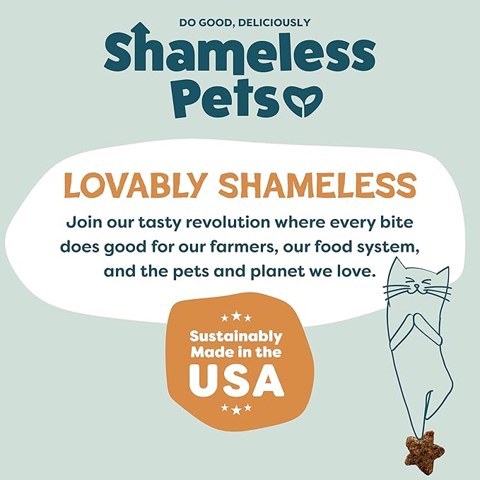 Shameless Pets Crunchy Cat Treats - Catnip Treats for Cats with Digestive Support, Kitten Treats with Real Ingredients, Natural & Healthy Flavored Feline Snacks - Catnip N Chill Chicken Liver, 1-pk