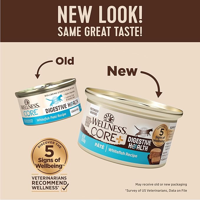 Wellness CORE+ Digestive Health Pate Adult Wet Cat Food, Natural, Protein-Rich, Grain Free, 3 Ounce, 12 Pack (Whitefish)