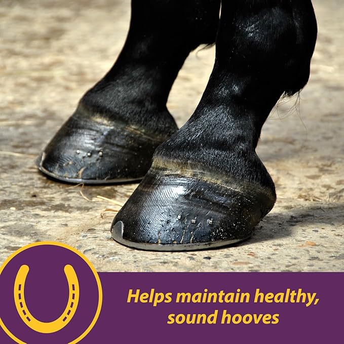 Horse Health Vita Biotin Crumbles horse hoof Supplement, Helps maintain healthy, sound hooves and strong hoof walls, 3 lbs., 48 day supply